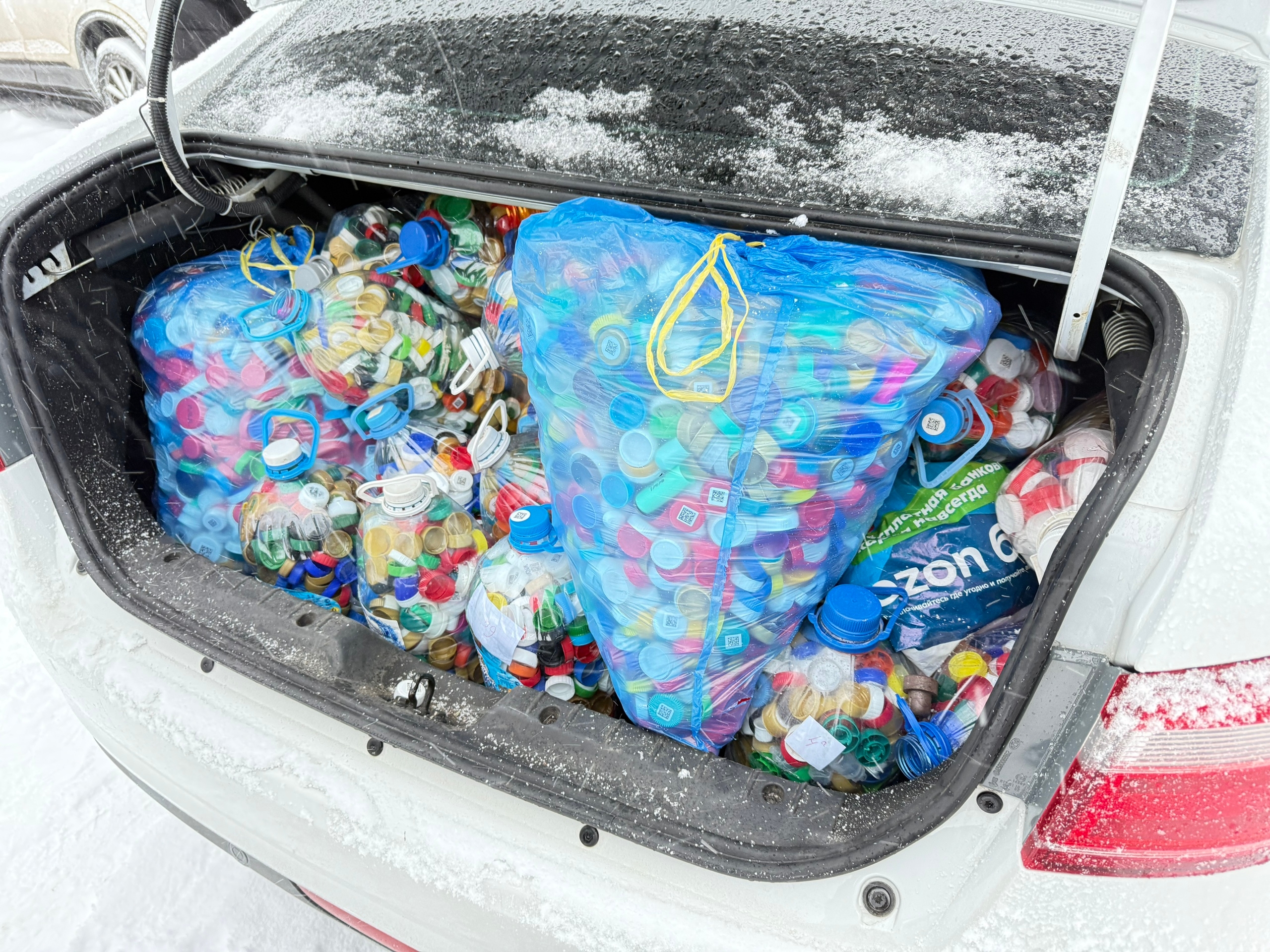 Экоурок для ребят из Судской школы