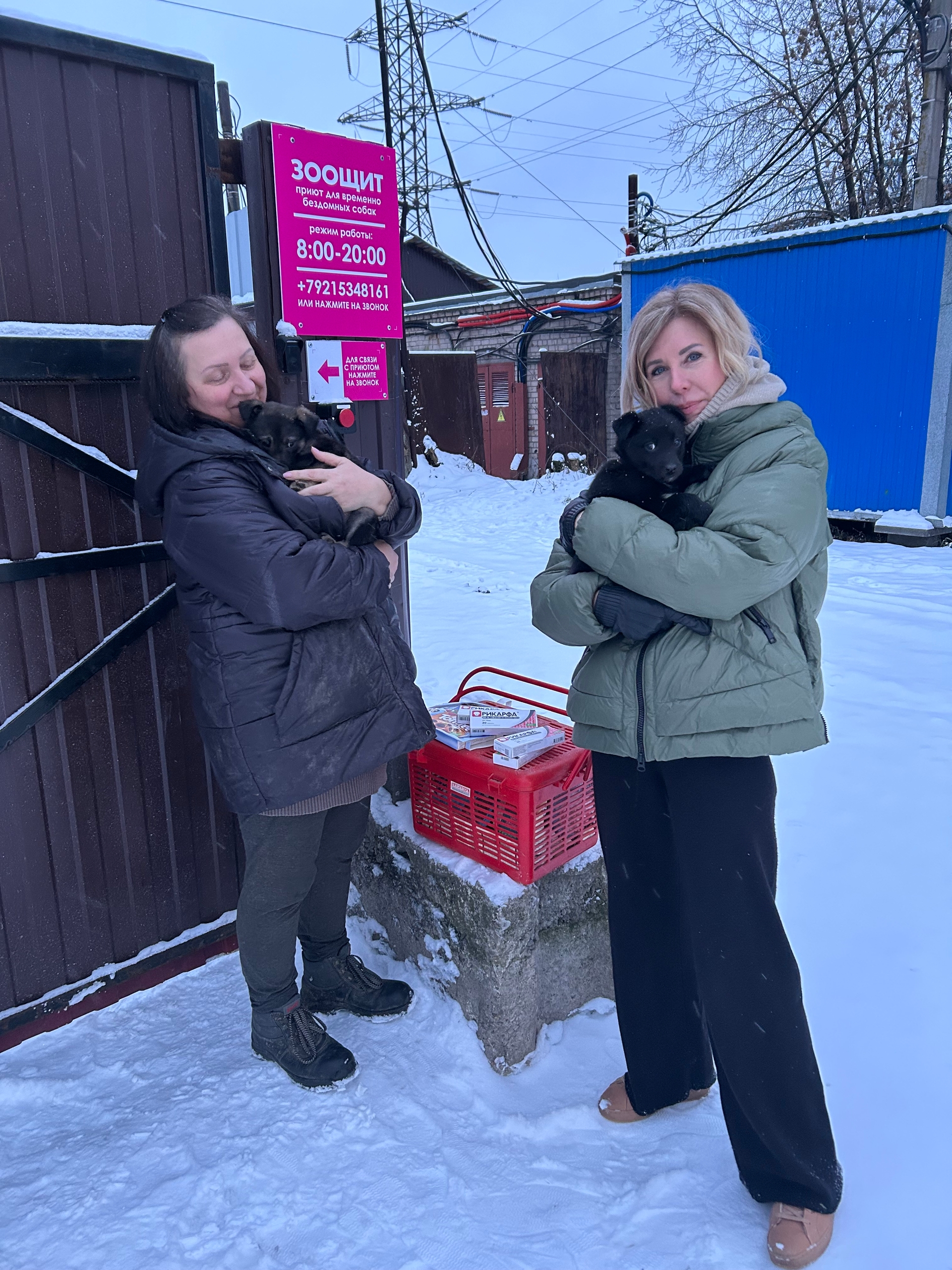 Самый главный новогодний подарочек 